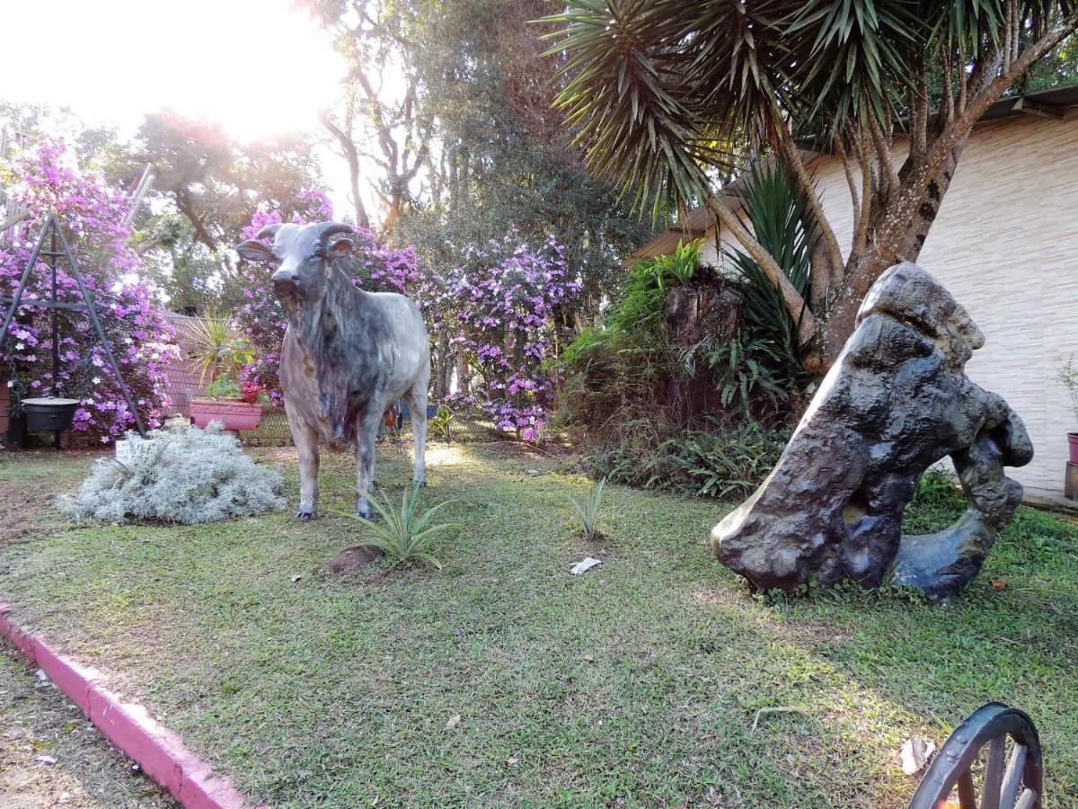 Pousada Juriti - Eco Hotel São Roque المظهر الخارجي الصورة